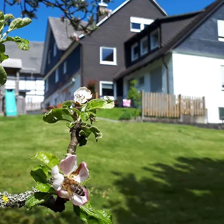 Ferienunterkunft Schrichten Guest house Schmallenberg