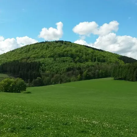 Ferienwohnung&gästezimmer Schrichten 3*